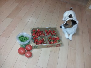 20130525_082707.jpg